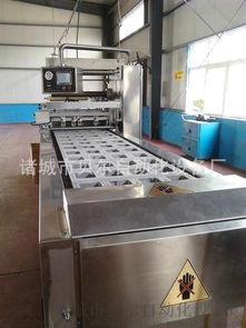 中國氣調(diào)包裝機(jī)排名前三品牌 貝爾全自動(dòng)盒式包裝機(jī)及其應(yīng)用